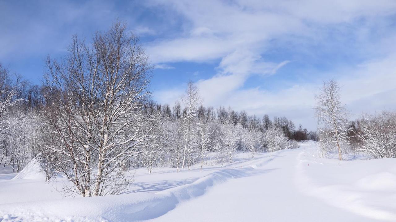 Wild Caribou'S Wildwood Cabin ลัคเซลฟ์ ภายนอก รูปภาพ
